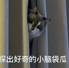 丰台区文化馆免费体验精彩活动，别再错过这处南城的“宝藏”！