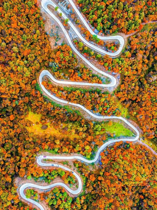 广元不远 周末优选 | 秋色短暂，曾家山赏秋路线来啦！