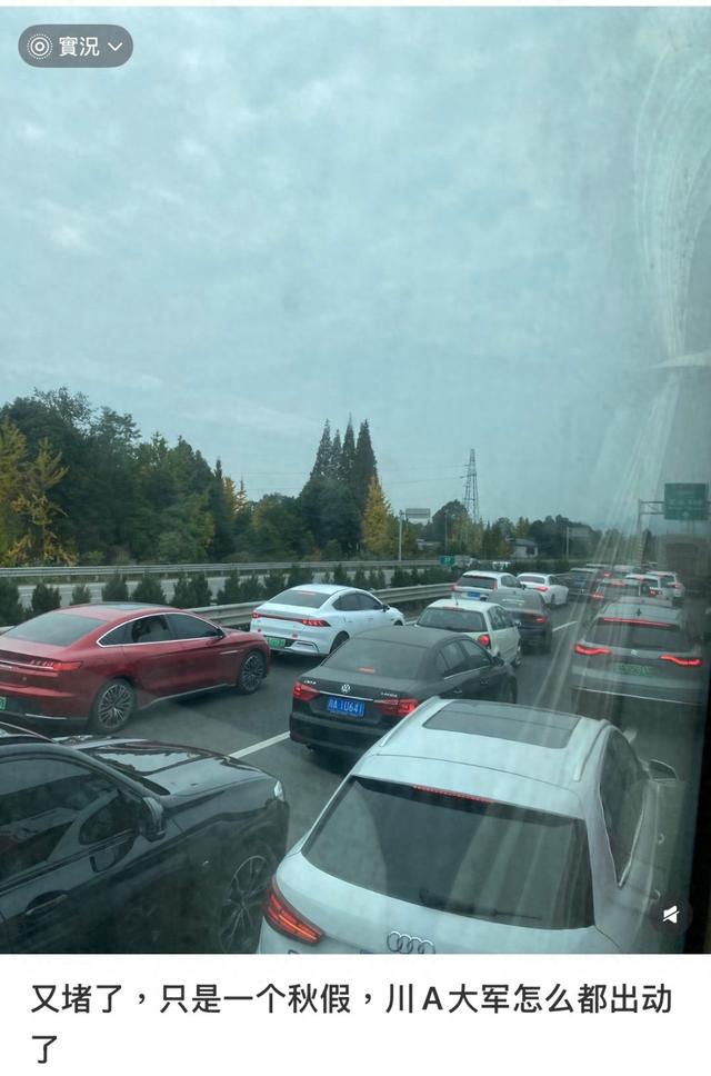 这几天，成都算是捅了“孩子窝”了