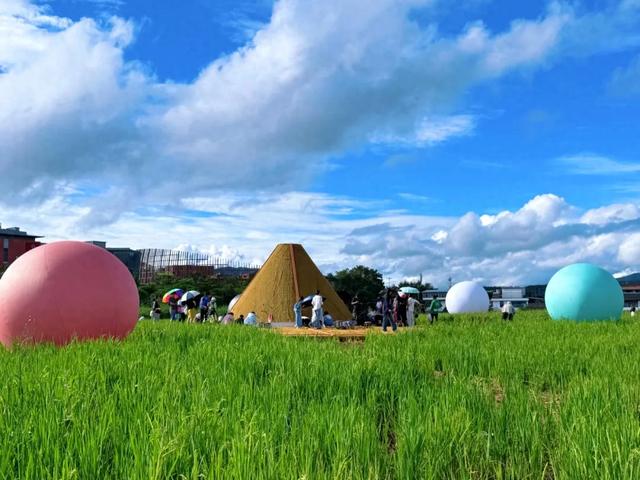 从“吃饱”到“吃好”——“纯萃普洱”的探寻本真之旅