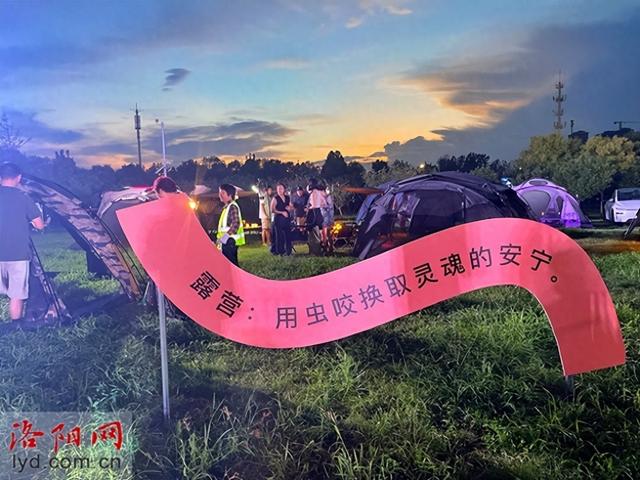 多元场景，全域联动！洛阳以“露营+”打造家门口的“诗和远方”