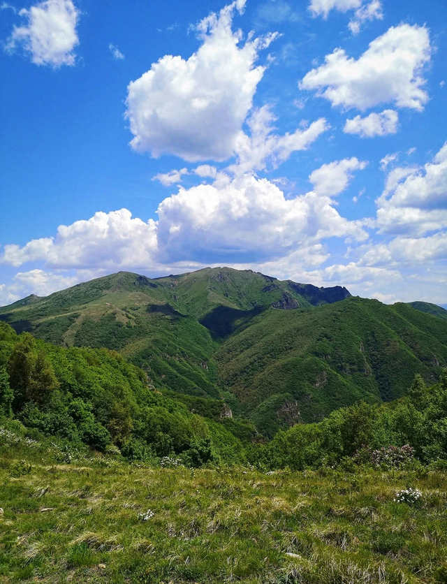井陉高山草甸寻幽