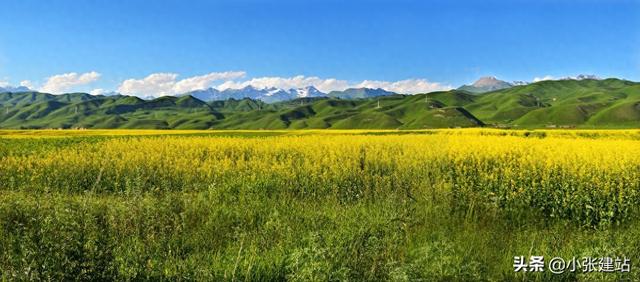 上海网站优化方案（如何做一个网站的优化 看这篇文章就够了）