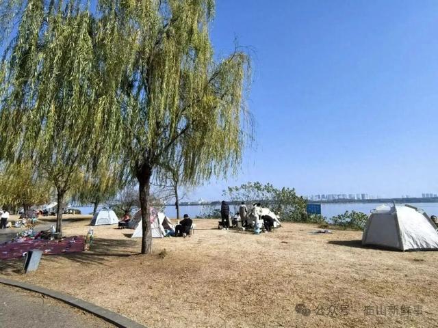 江夏庙山东路环湖绿道，成武汉热门帐篷露营地