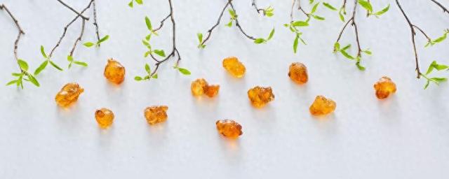 桃胶和花胶的差价是多少 2025年桃胶和花胶哪个好