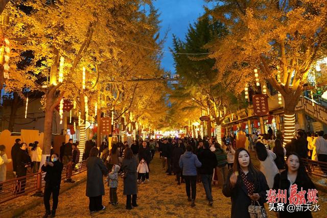 【“银”客天下 “杏”福秦州】“黄金大道”牵手花牛苹果 打造秦州初冬最甜打卡地