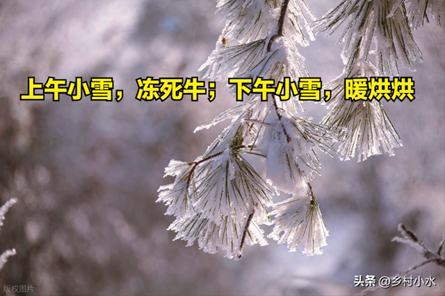 “上午小雪，冻死牛；下午小雪，暖烘烘”，今年小雪在几点？