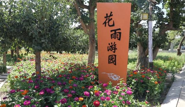 敦煌市区花雨路变身花海绿廊  一路美景醉游人