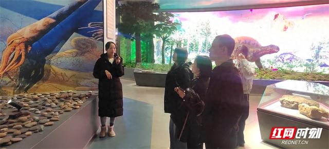 武陵源科技专家服务团走进地质公园博物馆 把脉科普研学 赋能文旅融合