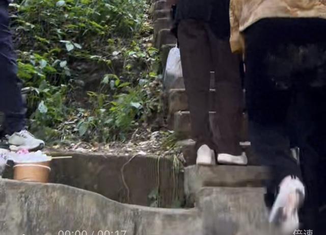 党报调查 | “网红山”层出不穷背后：停车困难、垃圾遍地……