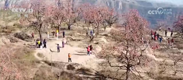 各地解锁秋冬限定美景 一键Get冬日出游新场景新玩法