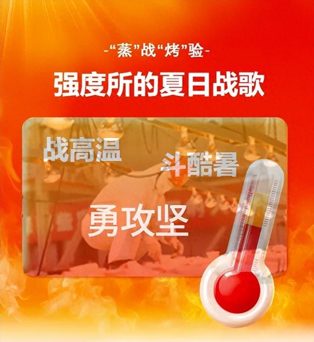 热浪炼“材”心 记中国航空工业集团强度所复合材料结构强度研究团队