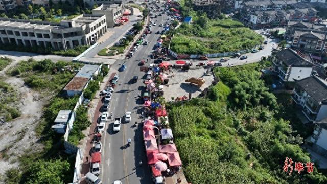 趁凉出发！去百里杜鹃早市“抢头鲜”