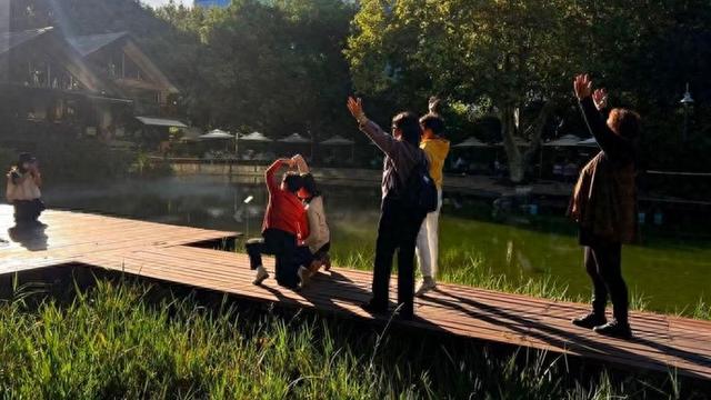申城秋日暖阳上线，公园街头处处好风景