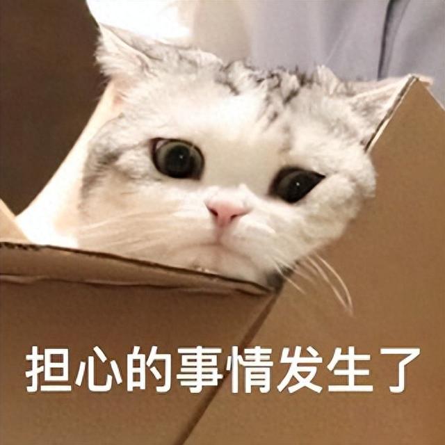 选电视，尺寸是硬道理！为什么说98吋才是大屏规格的“优等生”