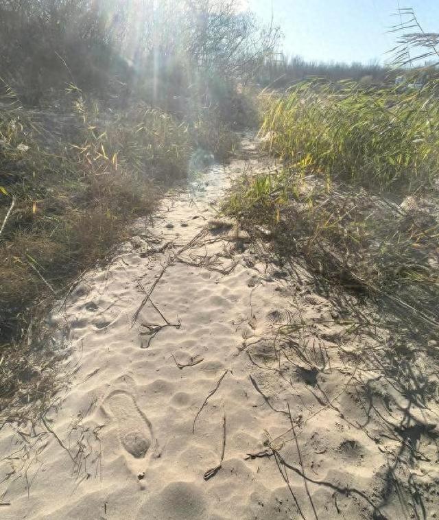 顺义潮白河惊现百年古洋桥！历史风采再现