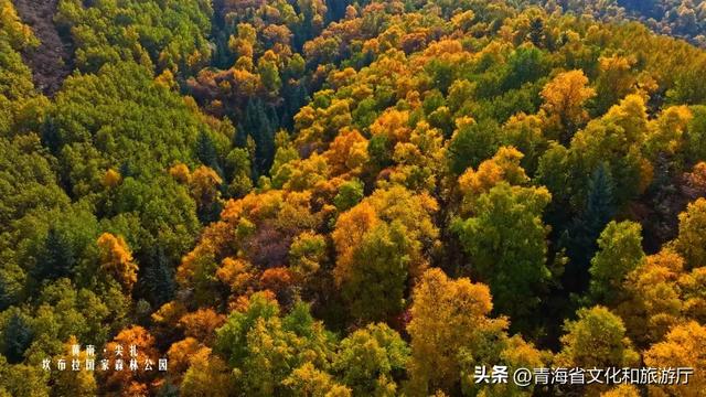 秋风叩黄南，一场与山水私语的秋日浪漫邀约