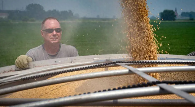 美国对华大豆出口断崖式下滑，孙玉良：美国农民呼唤中美关系稳定