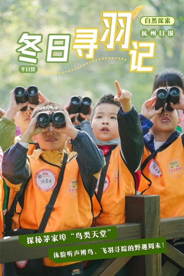 12.07 独立营｜冬日寻羽记：解码西湖候鸟的越冬密码！鸟类专家带队，探秘茅家埠“鸟类天堂”，体验听声辨鸟、飞羽寻踪的野趣周末！