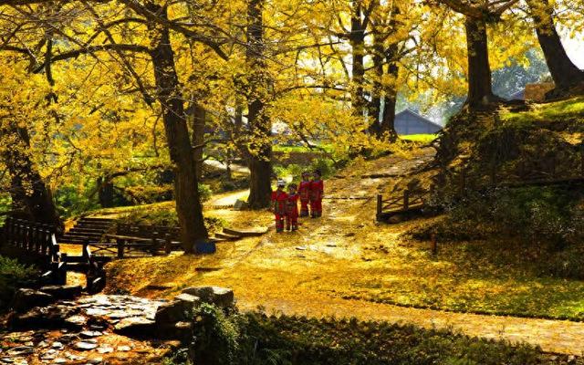 秋游贵州  开启一场康养之旅