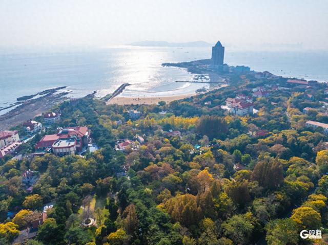 海韵+汇筑+绮景！青岛初冬的浪漫被具象化了