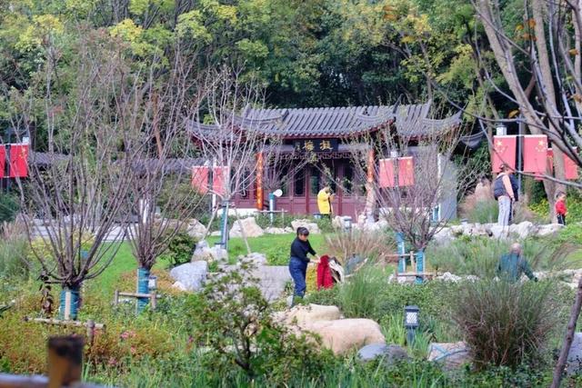 在雨山邂逅暗香苑，寻见一方藏在城市角落的桃花源