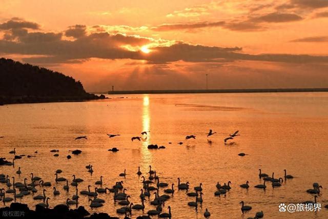 人均500躺平6城！逃离钢筋森林，这些山水小城藏着最野的松弛感