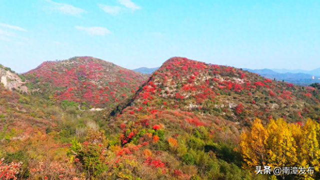 南漳县九集镇古林坪：漫山红叶绘画卷 山村旅游红似火