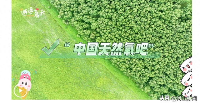 河北围场：尽享21度的夏日“奇冀”