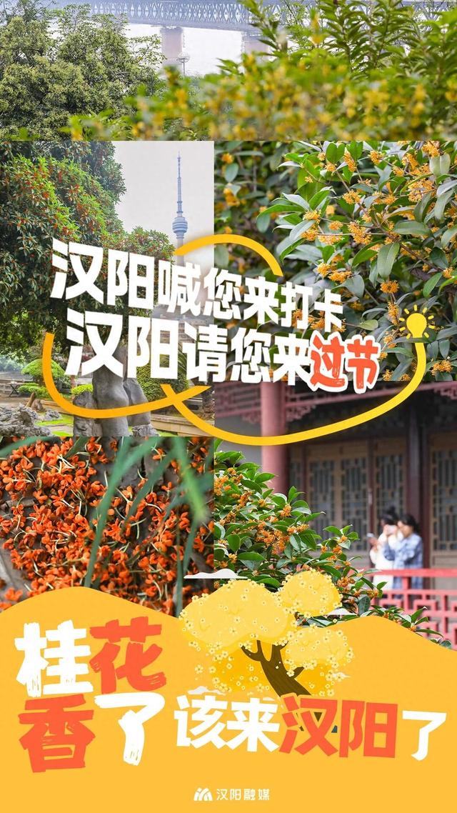明天！“笑界顶流”即将引爆远洋里