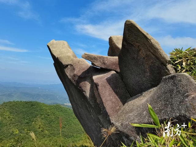 佛山藏着个“身心香养”秘境，年底就能住进山水里