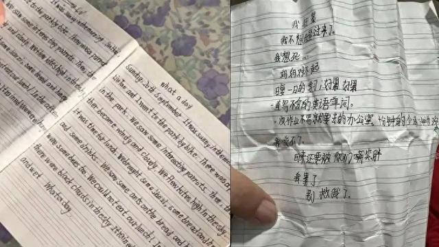 江苏12岁小学生家中自杀	，遗书称“写不会英语单词”，吞下姥姥100颗心脏病药，妈妈起诉学校案件将二审