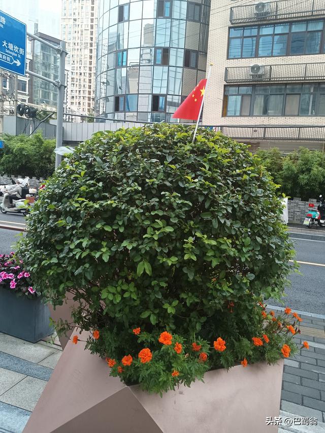 我们那代人只准生一个孩子，而今年迈父母那种孤独感，谁能懂？