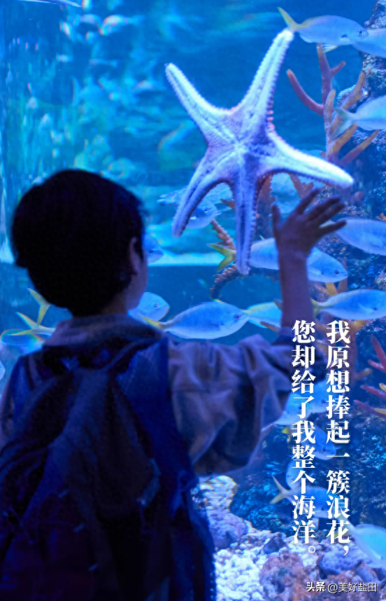 连续七天，教师免票！