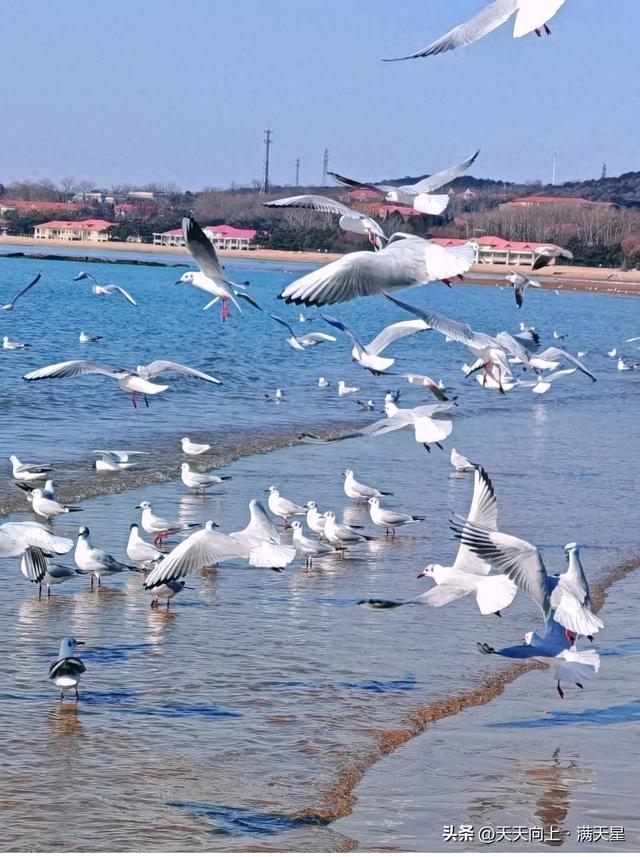 去了趟河北秦皇岛，真心建议：不要随便去秦皇岛，除非你知道这些