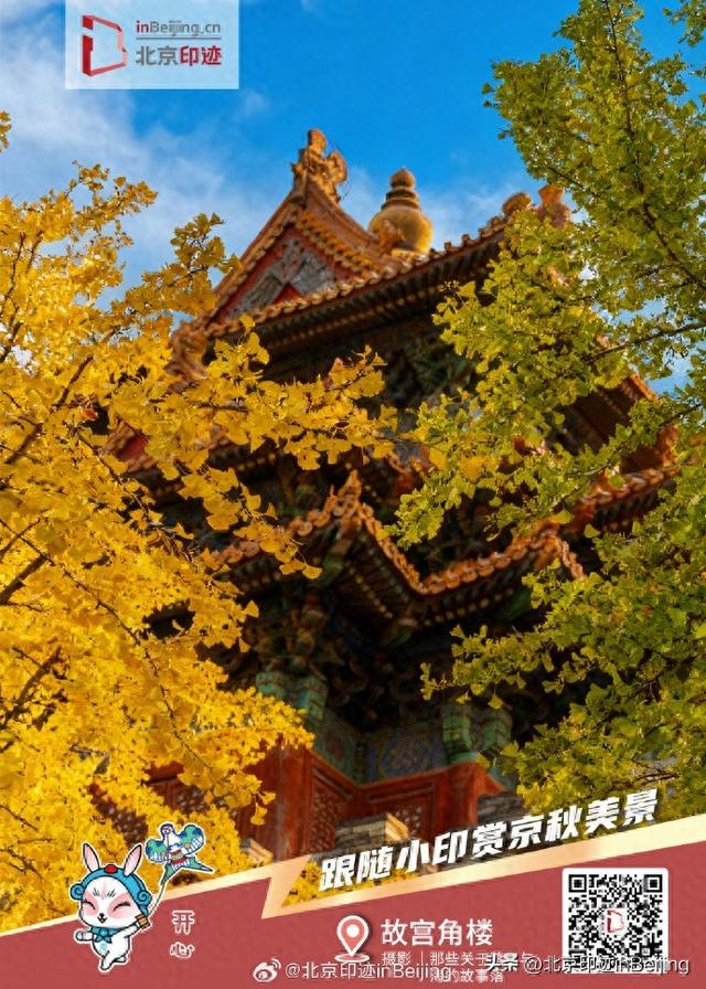 还在遗憾秋天太短暂？邀您一键保存京秋印迹