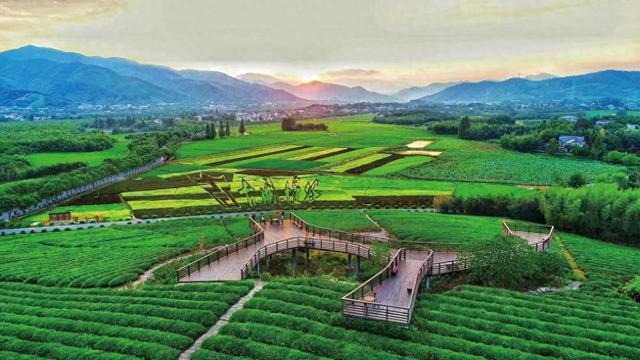 义乌出发，畅游余杭：“文明圣地”在“世界超市”发出国际邀请函