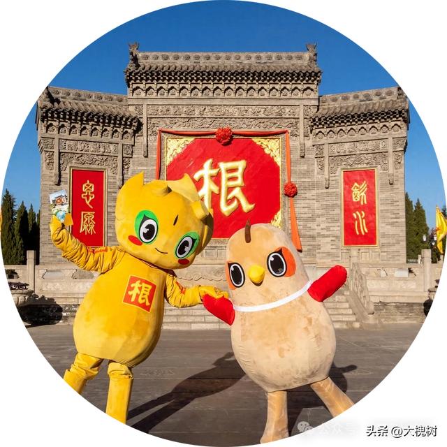 山西高校新生专属福利：洪洞大槐树景区免票迎新生，赠暖茶传文化