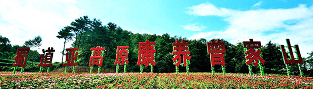 四川省朝天区历史沿革及行政区划