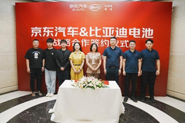 怎么看京东总共消费（比亚迪推出电动二轮三轮车电池 京东自营旗舰店正式上线首发）