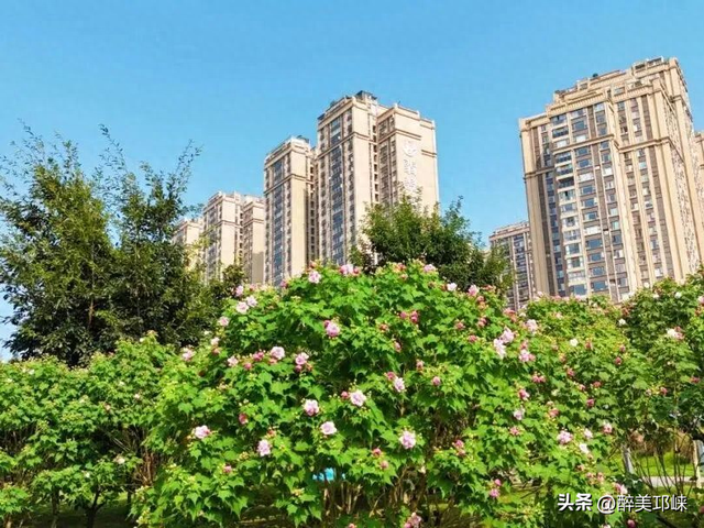 聆听邛崃丨一城芙蓉色，“醉美”是邛崃