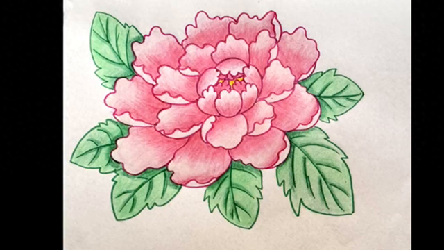 牡丹花怎么画简单又好看简笔画（牡丹花怎么画赶紧学起来）