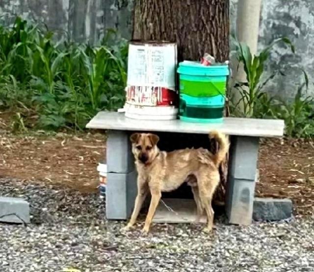 山西男子反杀案，律师一句话问懵法官：天黑后，你还敢去现场吗
