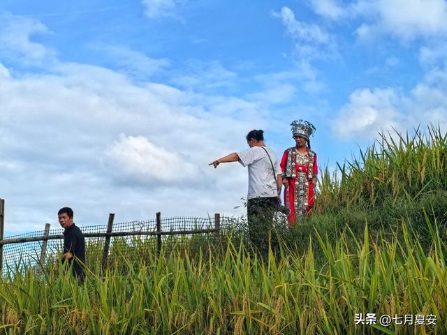 广西采风见闻：到龙脊梯田看什么？看梯田，不，看人心