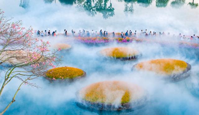 广西南宁：冬日花海醉游人