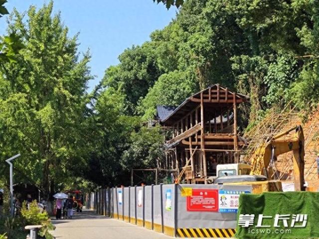 长沙这个景点，即将恢复开放！