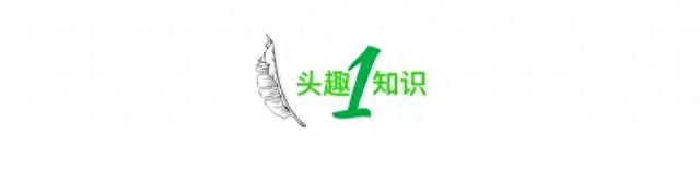 被挂上热搜的“超10万老人玩上瘾”事件，暴露当下社会残酷的现状