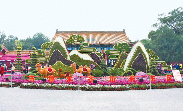 乌鲁木齐市作品首获中国菊花展览会金奖 大型室外景点《丝路芳华》实现西北地区金奖“零的突破”
