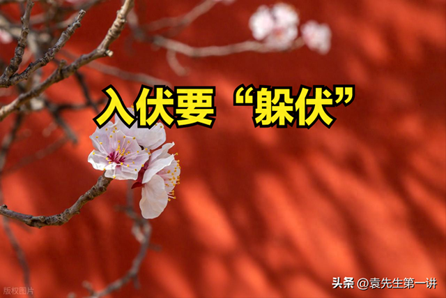 “入伏要躲伏，不能床上躺”，明日入伏，该如何“躲伏”？早了解