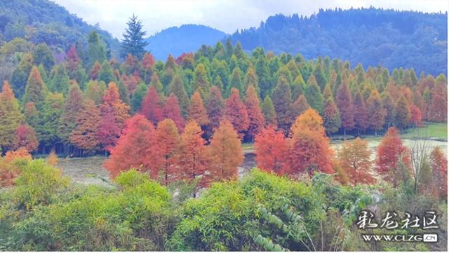 山水入画秋意来